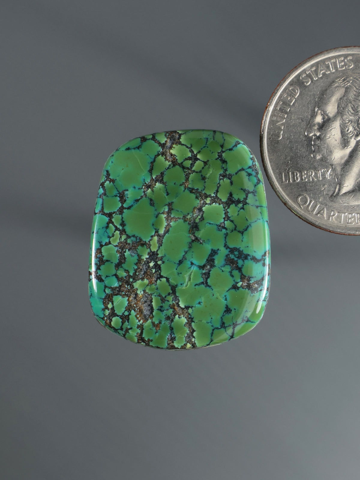 Turquoise green cabochon gemstone with black web-like matrix, rounded square