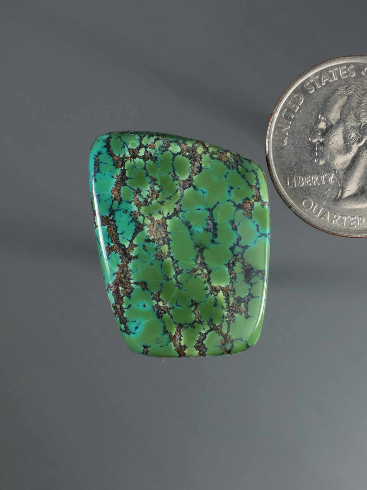 Square turquoise-green cabochon gemstone with dark matrix web pattern