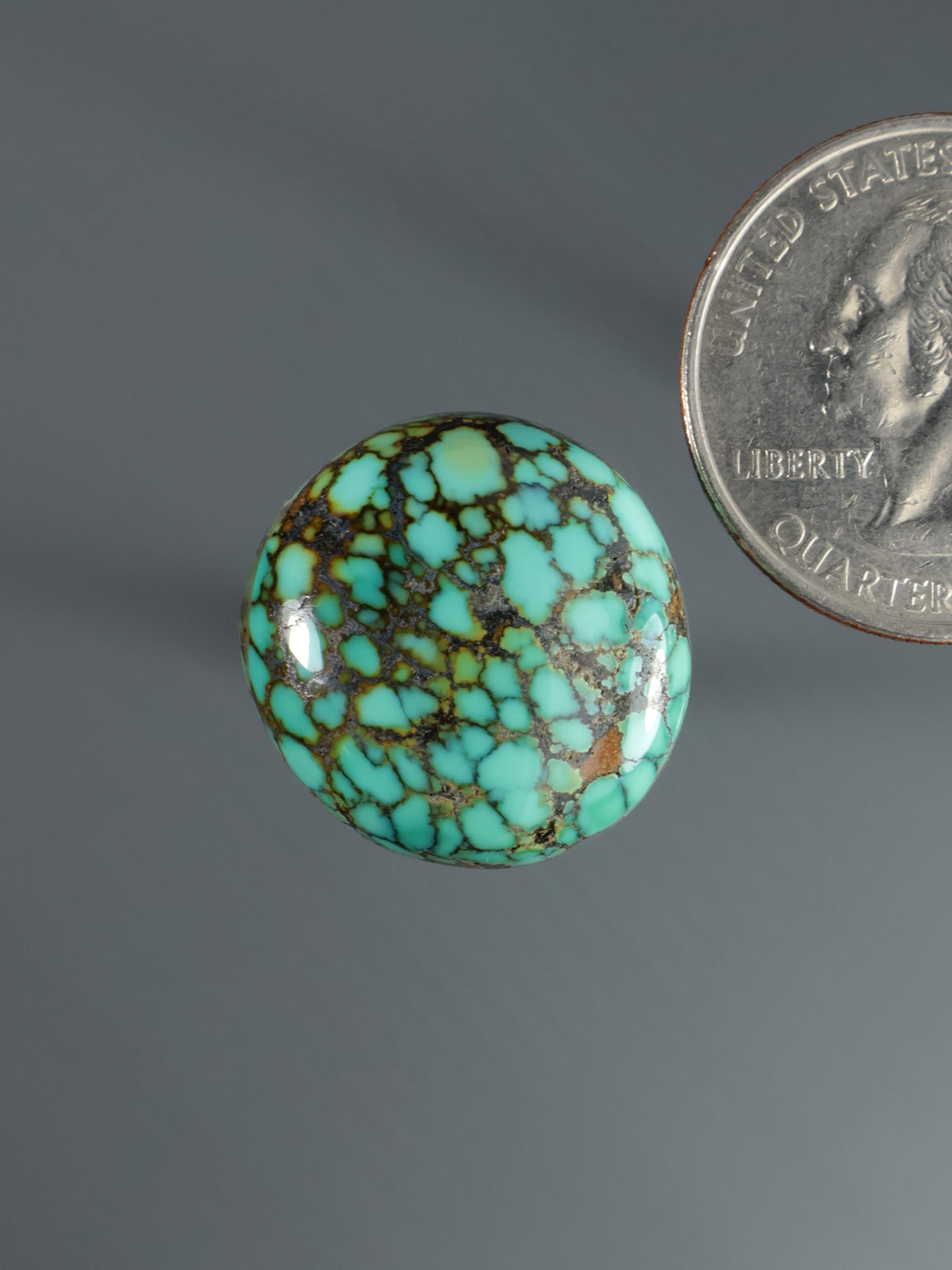 Round turquoise cabochon with black webbed matrix, polished domed surface