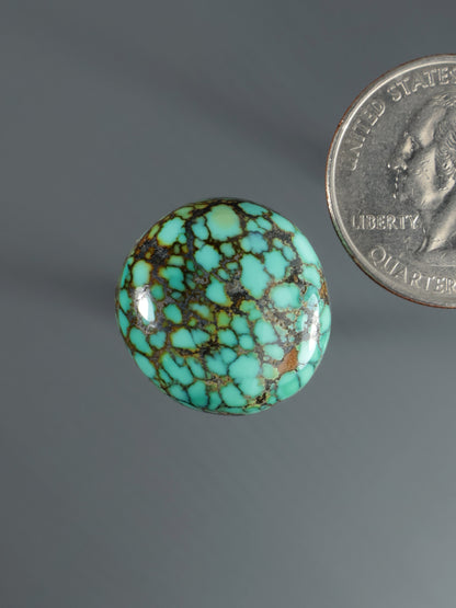 Round turquoise cabochon with black webbed matrix, polished domed surface