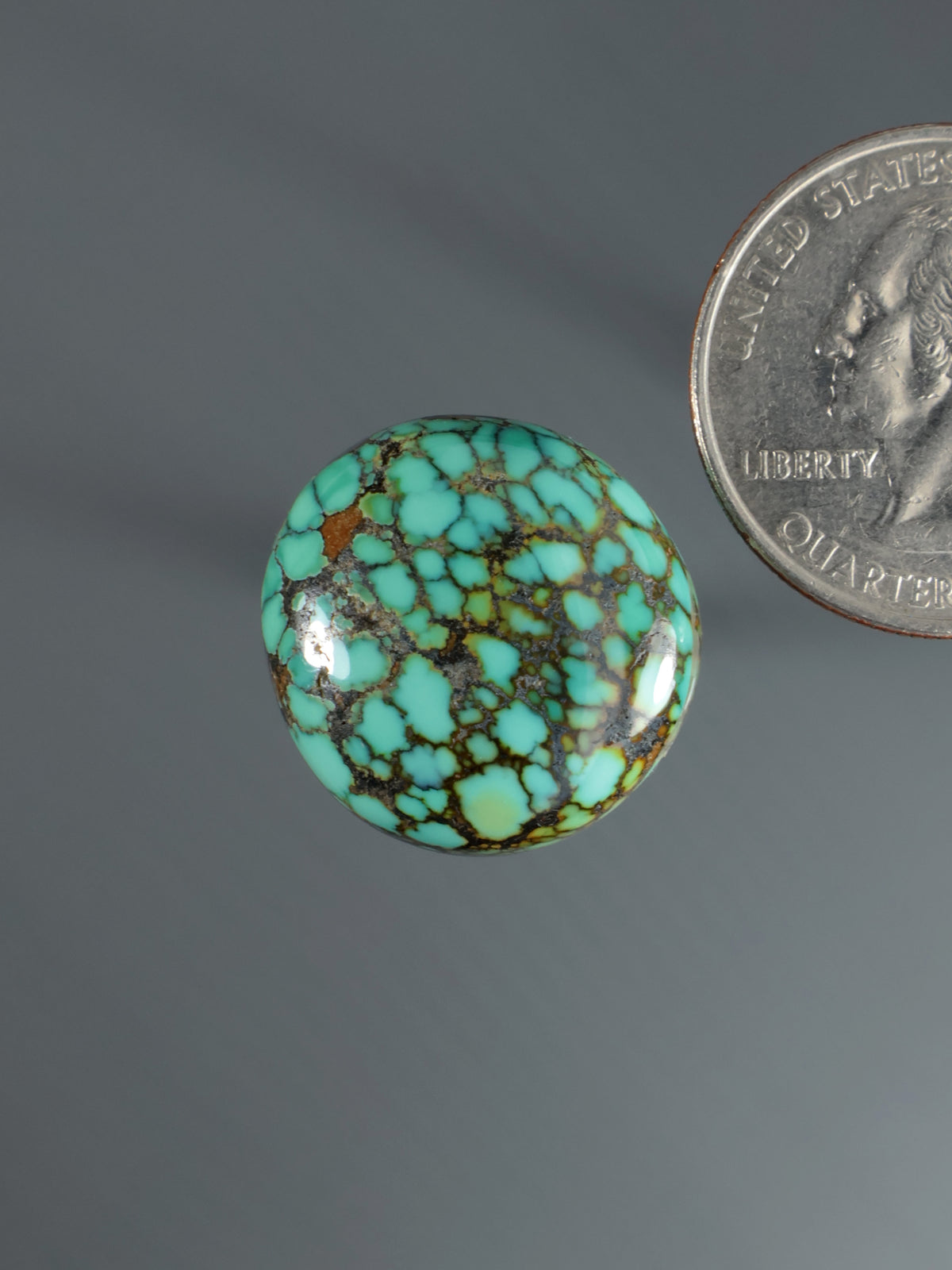 Round turquoise cabochon with black webbed matrix, glossy domed surface and highlight