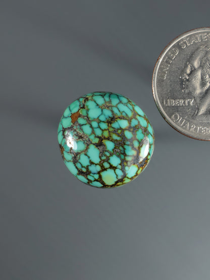 Round turquoise cabochon with black webbed matrix, glossy domed surface and highlight