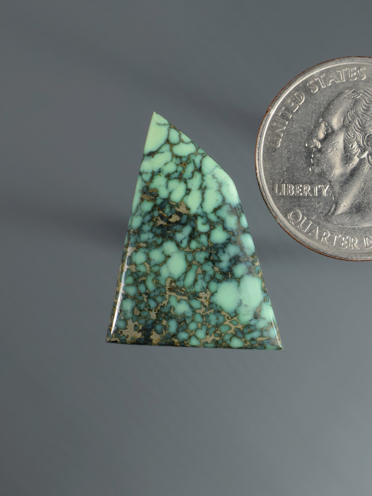 Triangular turquoise cabochon with dark matrix webbing gemstone