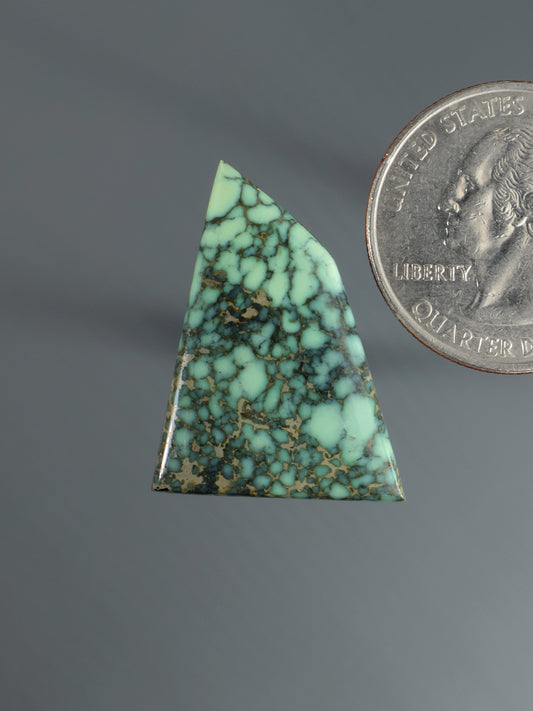 Triangular turquoise cabochon with dark matrix webbing gemstone