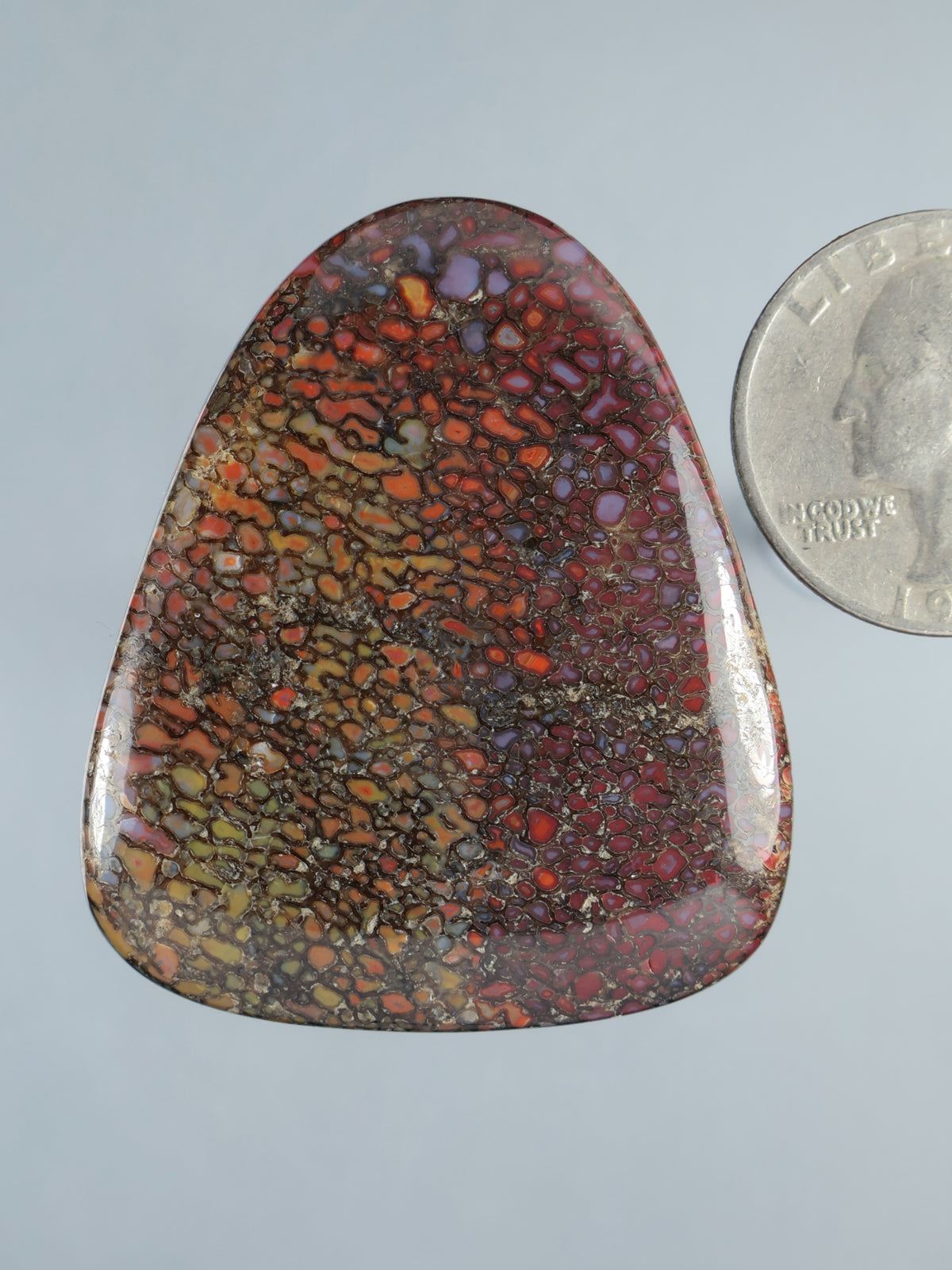 Large dinosaur gembone cabochon with rounded triangular shape, marbled red/orange/yellow pattern