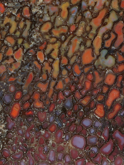 Dinosaur gembone cabochon close-up with red, orange, purple and dark mosaic texture