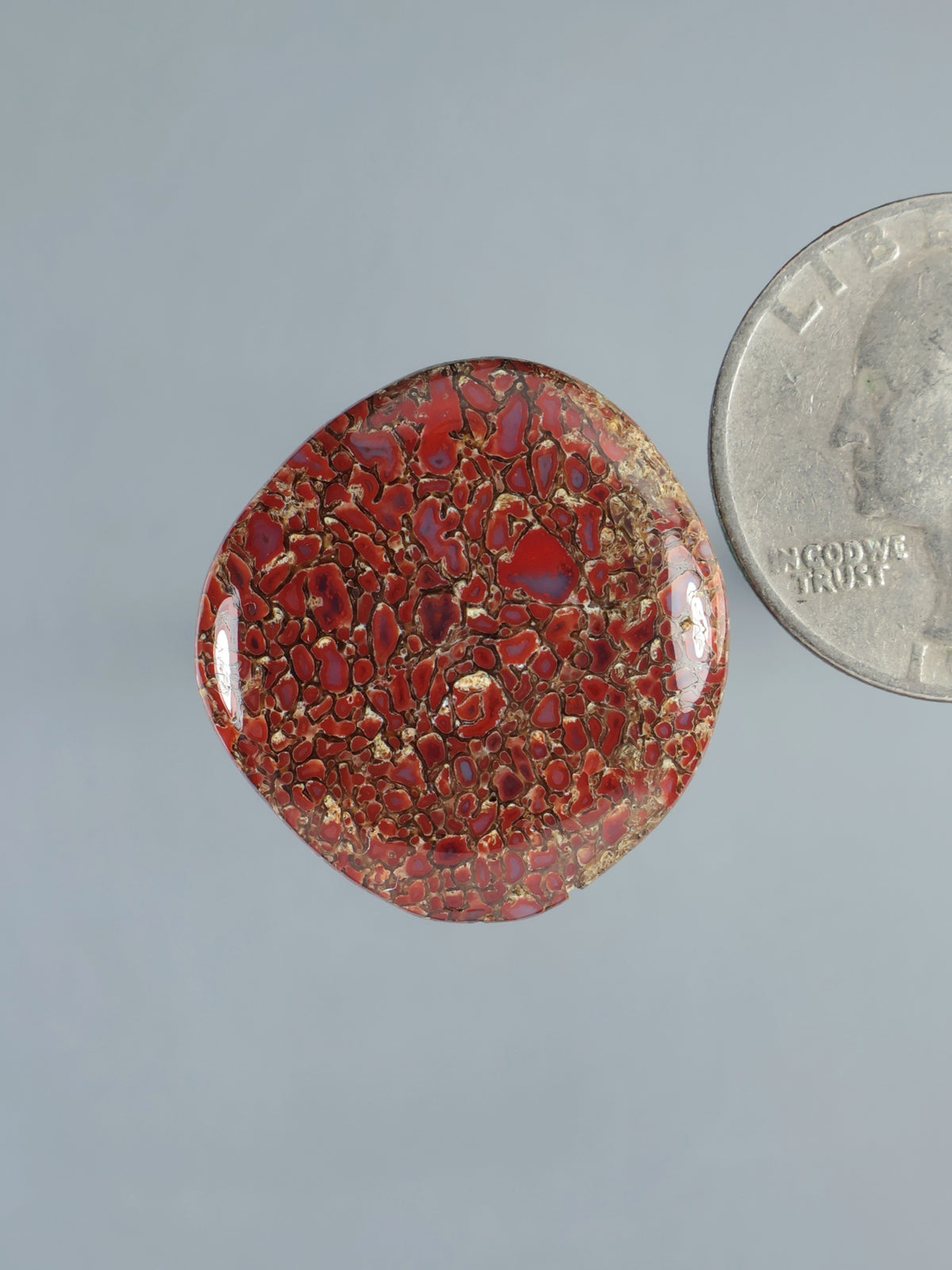 Dinosaur gembone cabochon, red mottled round stone with glossy polish