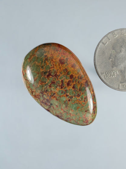 Dinosaur gembone cabochon (B892), angled oval green-orange mottled cabochon, glossy finish