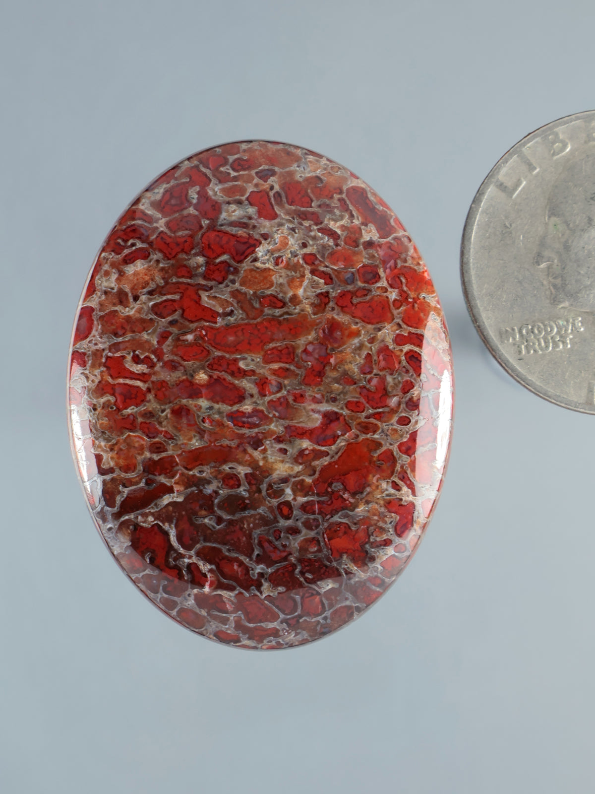 Oval dinosaur gembone cabochon with red, brown marbled stone pattern